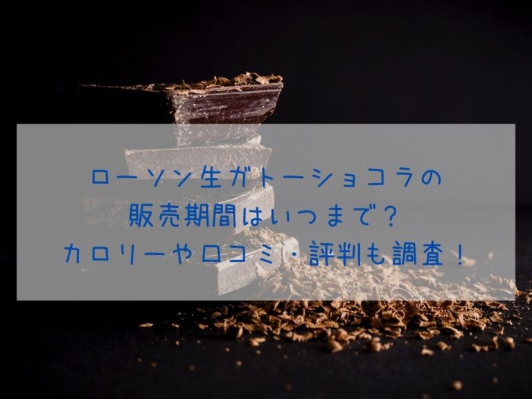 ローソン生ガトーショコラの 販売期間はいつまで？ カロリーや口コミ・評判も調査！イメージ画像