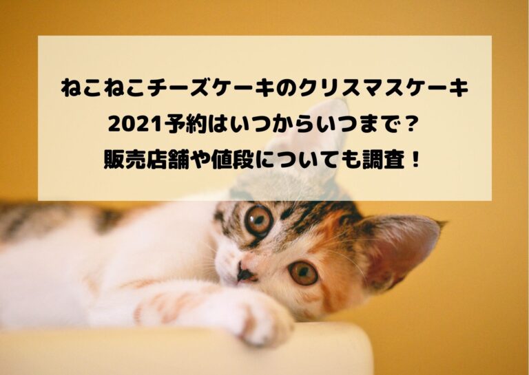 ねこねこチーズケーキのクリスマスケーキ2021予約はいつからいつまで？販売店舗や値段についても調査！イメージ画像