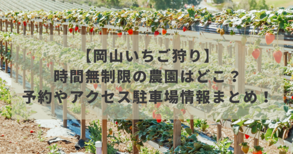 岡山いちご狩り22 時間無制限の農園はどこ 予約やアクセス駐車場情報まとめ ちぐまmemo