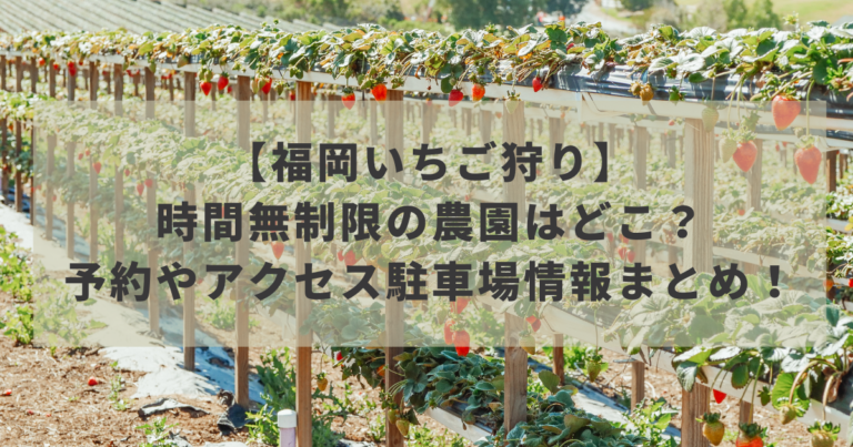 【福岡いちご狩り2022】時間無制限の農園はどこ？予約やアクセス駐車場情報まとめ！イメージ画像
