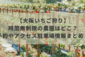 【大阪いちご狩り2022】時間無制限の農園はどこ？予約やアクセス駐車場情報まとめ！イメージ画像
