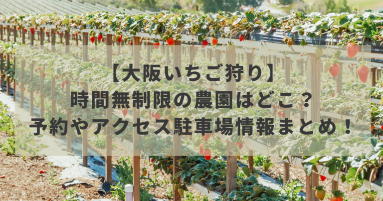 【大阪いちご狩り2022】時間無制限の農園はどこ？予約やアクセス駐車場情報まとめ！イメージ画像