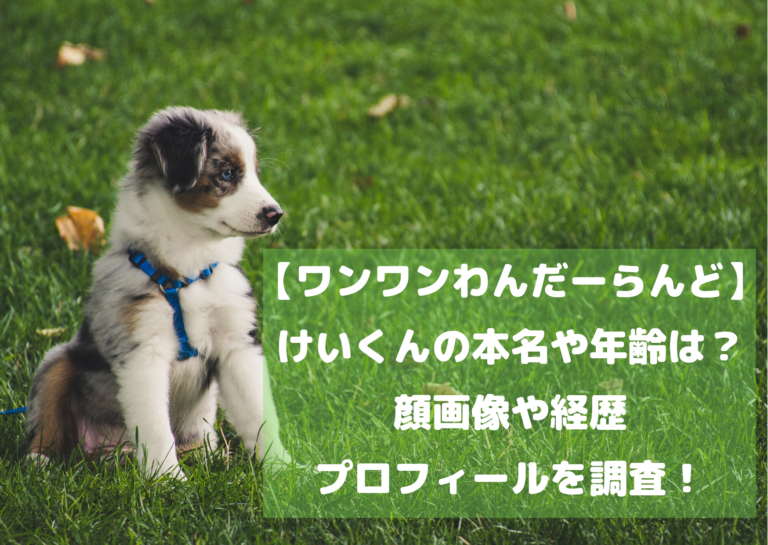 【ワンワンわんだーらんど】けいくんの本名や年齢顔は？画像や経歴プロフィールを調査！イメージ画像