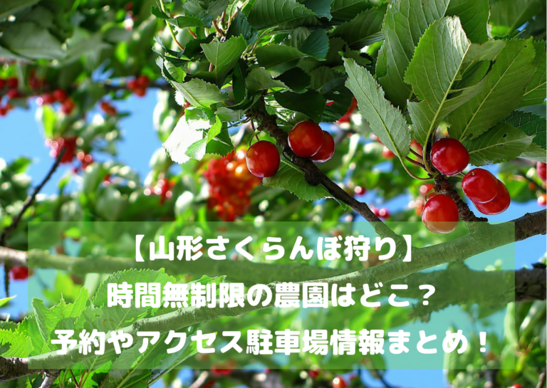 【山形さくらんぼ狩り】時間無制限の農園はどこ？予約やアクセス駐車場情報まとめ！イメージ画像