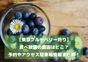 【東京ブルーベリー狩り】食べ放題の農園はどこ？予約やアクセス駐車場情報まとめ！イメージ画像