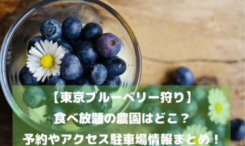 【東京ブルーベリー狩り】食べ放題の農園はどこ？予約やアクセス駐車場情報まとめ！イメージ画像