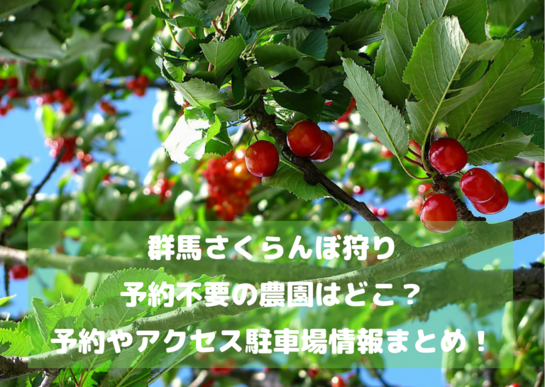 【群馬さくらんぼ狩り2022】予約不要の農園はどこ？料金アクセス駐車場情報まとめ！