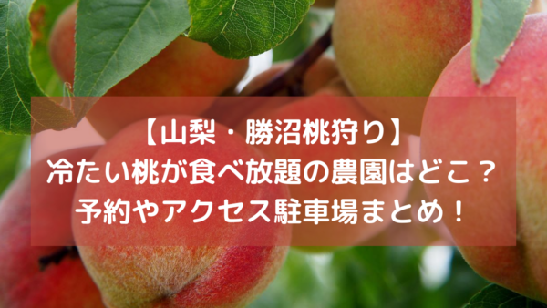 山梨 勝沼桃狩り 冷たい桃が食べ放題の農園はどこ 予約やアクセス駐車場まとめ ちぐまmemo