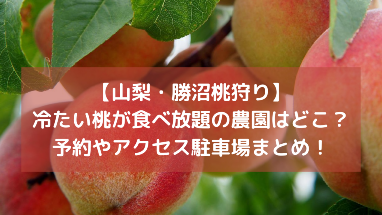 【山梨・勝沼桃狩り】冷たい桃が食べ放題の農園はどこ？予約やアクセス駐車場情報まとめ！イメージ画像