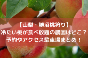 【山梨・勝沼桃狩り】冷たい桃が食べ放題の農園はどこ？予約やアクセス駐車場情報まとめ！イメージ画像