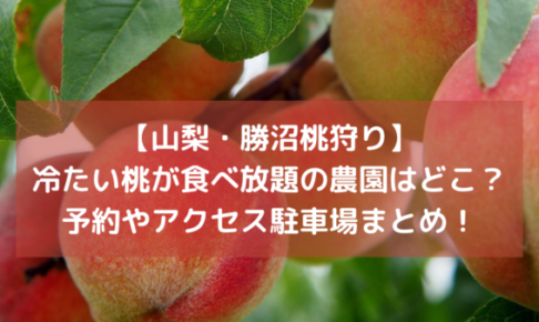 【山梨・勝沼桃狩り】冷たい桃が食べ放題の農園はどこ？予約やアクセス駐車場情報まとめ！イメージ画像