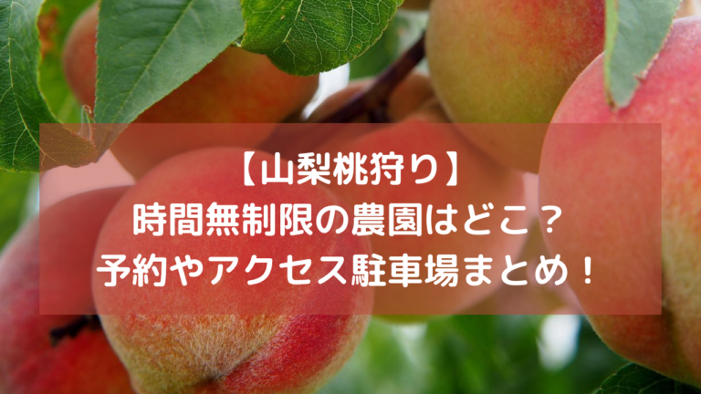 【山梨桃狩り】 時間無制限の農園はどこ？ 予約やアクセス駐車場まとめ！イメージ画像