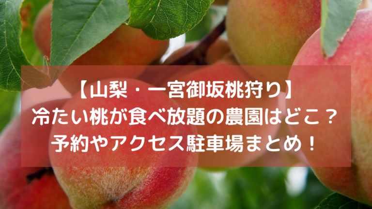 【山梨・一宮御坂桃狩り】冷たい桃が食べ放題の農園はどこ？予約やアクセス駐車場情報まとめ！イメージ画像