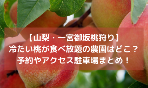 【山梨・一宮御坂桃狩り】冷たい桃が食べ放題の農園はどこ？予約やアクセス駐車場情報まとめ！イメージ画像