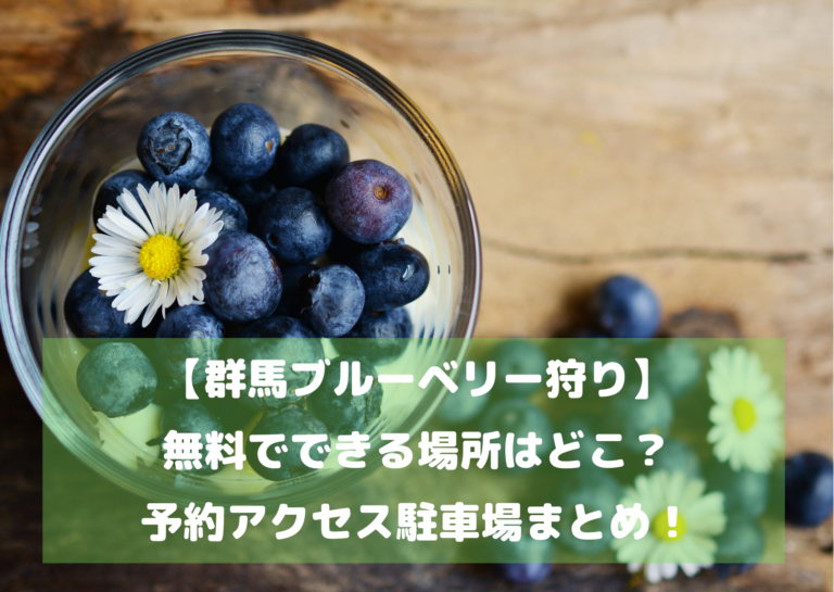【群馬ブルーベリー狩り】無料でできる場所はどこ？予約アクセス駐車場まとめ！