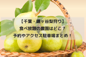 【千葉・鎌ヶ谷梨狩り2024】食べ放題の農園はどこ？予約やアクセス駐車場まとめ！