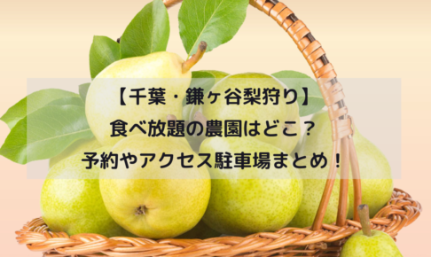 【千葉・鎌ヶ谷梨狩り2024】食べ放題の農園はどこ？予約やアクセス駐車場まとめ！