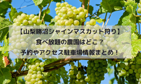 【山梨勝沼シャインマスカット狩り】食べ放題の農園はどこ？予約やアクセス駐車場情報まとめ！イメージ画像