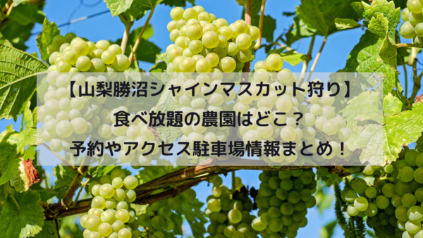 【山梨勝沼シャインマスカット狩り】食べ放題の農園はどこ？予約やアクセス駐車場情報まとめ！イメージ画像