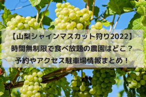 【山梨シャインマスカット狩り2022】時間無制限で食べ放題の農園はどこ？予約やアクセス駐車場情報まとめ！イメージ画像