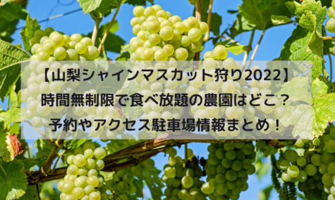 【山梨シャインマスカット狩り2022】時間無制限で食べ放題の農園はどこ？予約やアクセス駐車場情報まとめ！イメージ画像