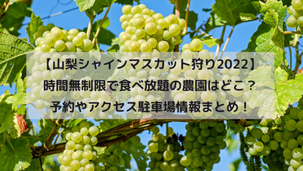 【山梨シャインマスカット狩り2022】時間無制限で食べ放題の農園はどこ？予約やアクセス駐車場情報まとめ！イメージ画像