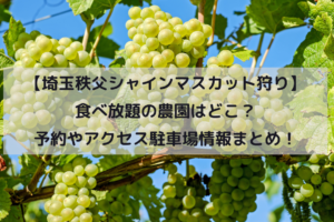 【埼玉秩父シャインマスカット狩り】食べ放題の農園はどこ？予約やアクセス駐車場情報まとめ！イメージ画像