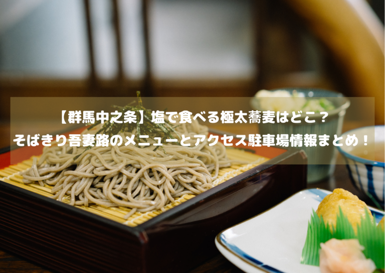 【群馬中之条】塩で食べる極太蕎麦はどこ？そばきり吾妻路のメニューとアクセス駐車場情報まとめ！イメージ画像