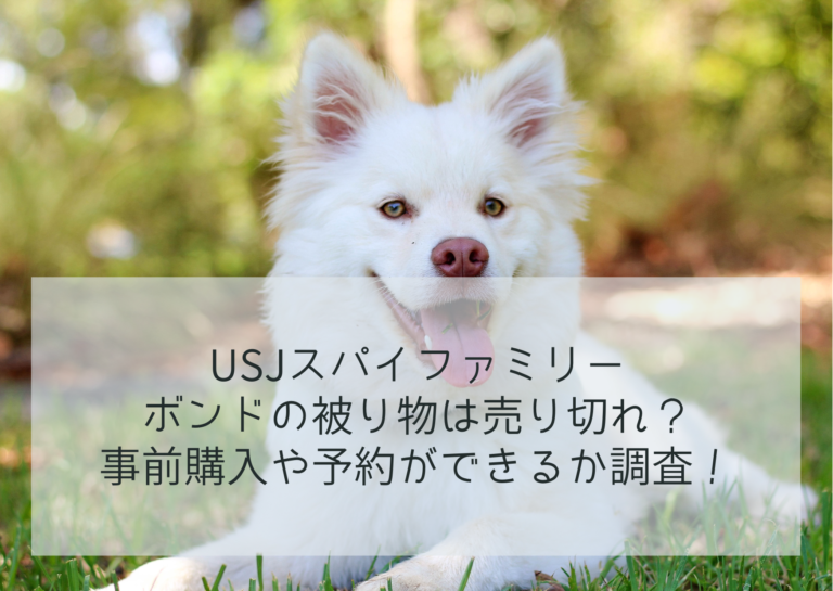 USJスパイファミリー ボンドの被り物は売り切れ？事前購入や予約ができるか調査！