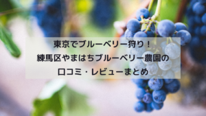 東京でブルーベリー狩り！練馬区やまはちブルーベリー農園の口コミ・レビューまとめイメージ画像