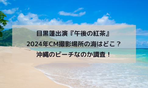 目黒蓮出演『午後の紅茶』2024年CM撮影場所の海はどこ？沖縄のビーチなのか調査！イメージ画像