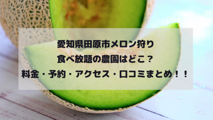 愛知県田原市メロン狩り食べ放題の農園はどこ？料金・予約・アクセス・口コミまとめ！イメージ画像